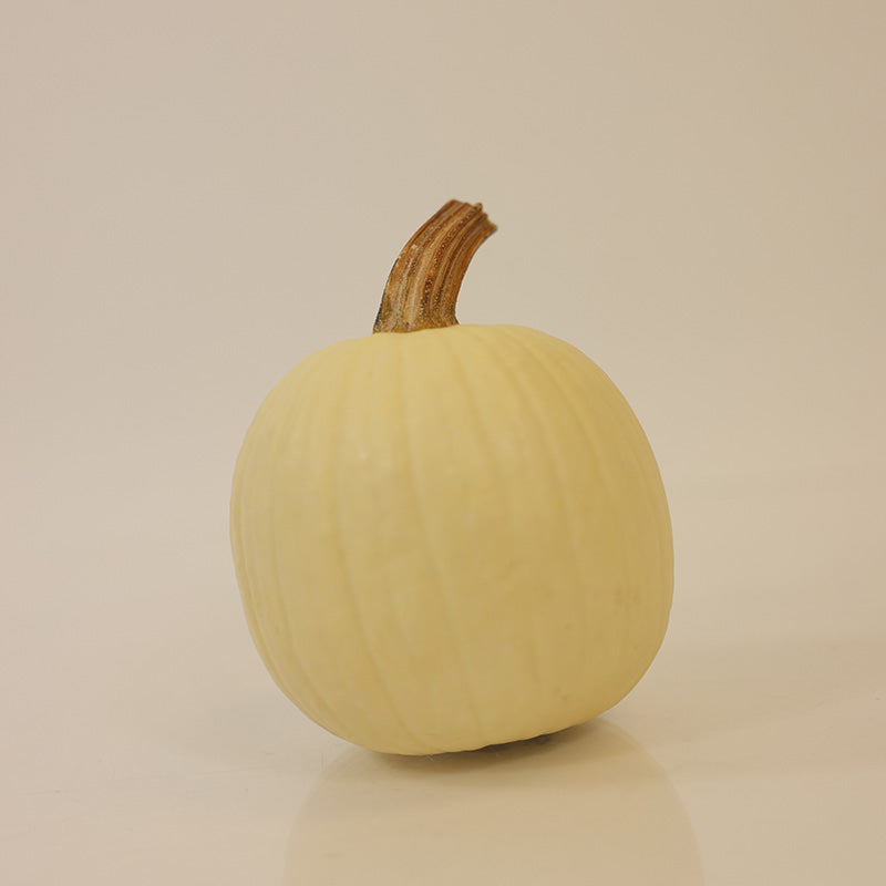 Pumpkin Snowdrop F1 Seed