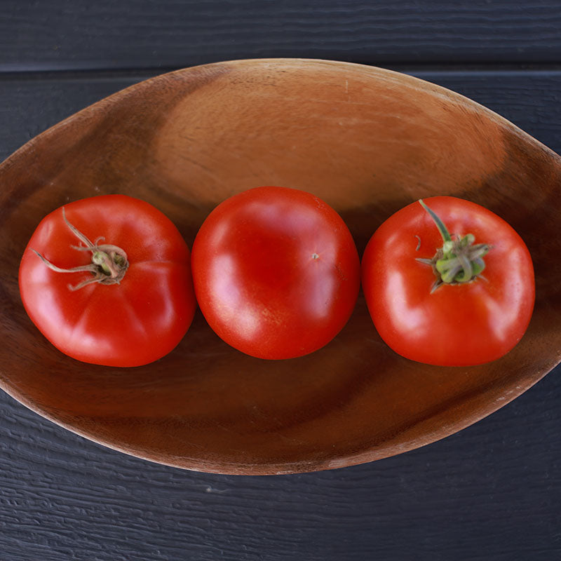 Tomato RuBee Dawn F1 Seed