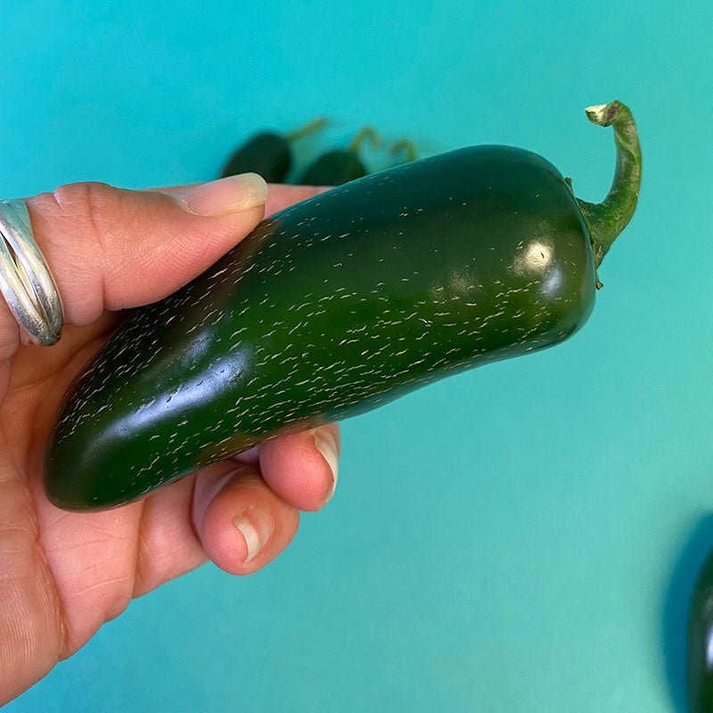 Pepper Black Magic F1 Organic Seed