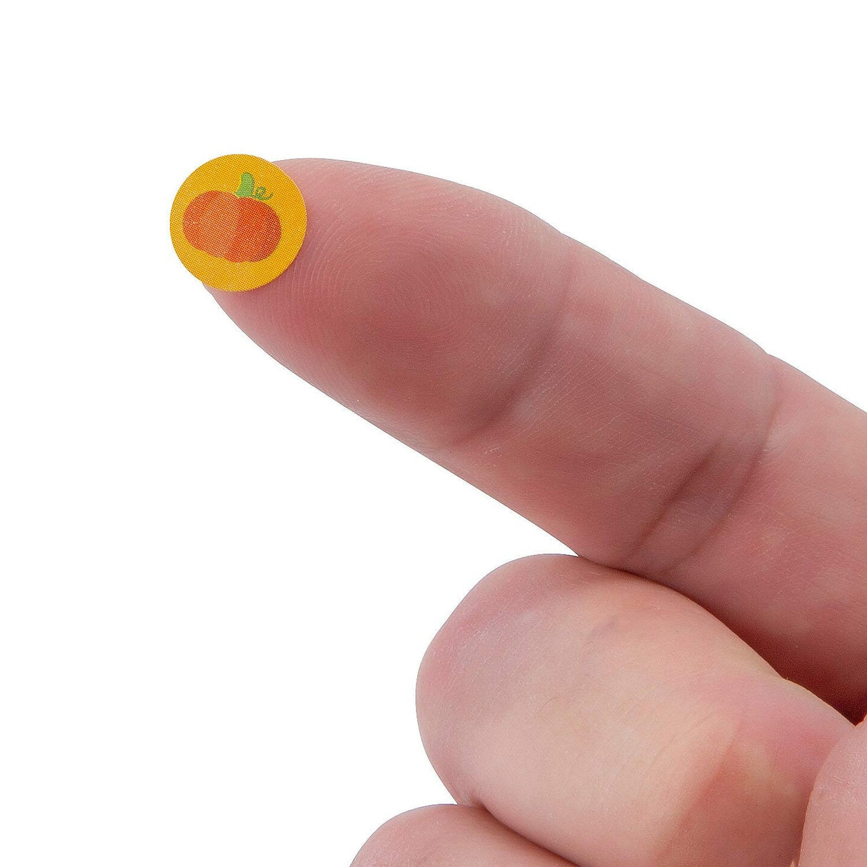 Mini Thanksgiving Sticker Roll 1000 Pieces