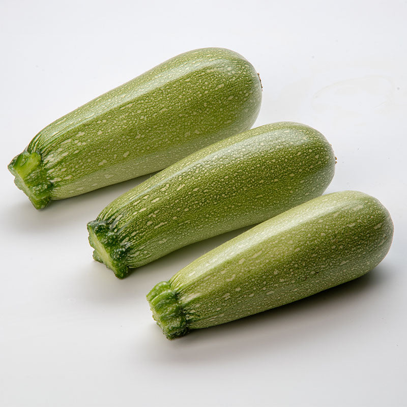 Squash Mexicana F1 Organic Seed