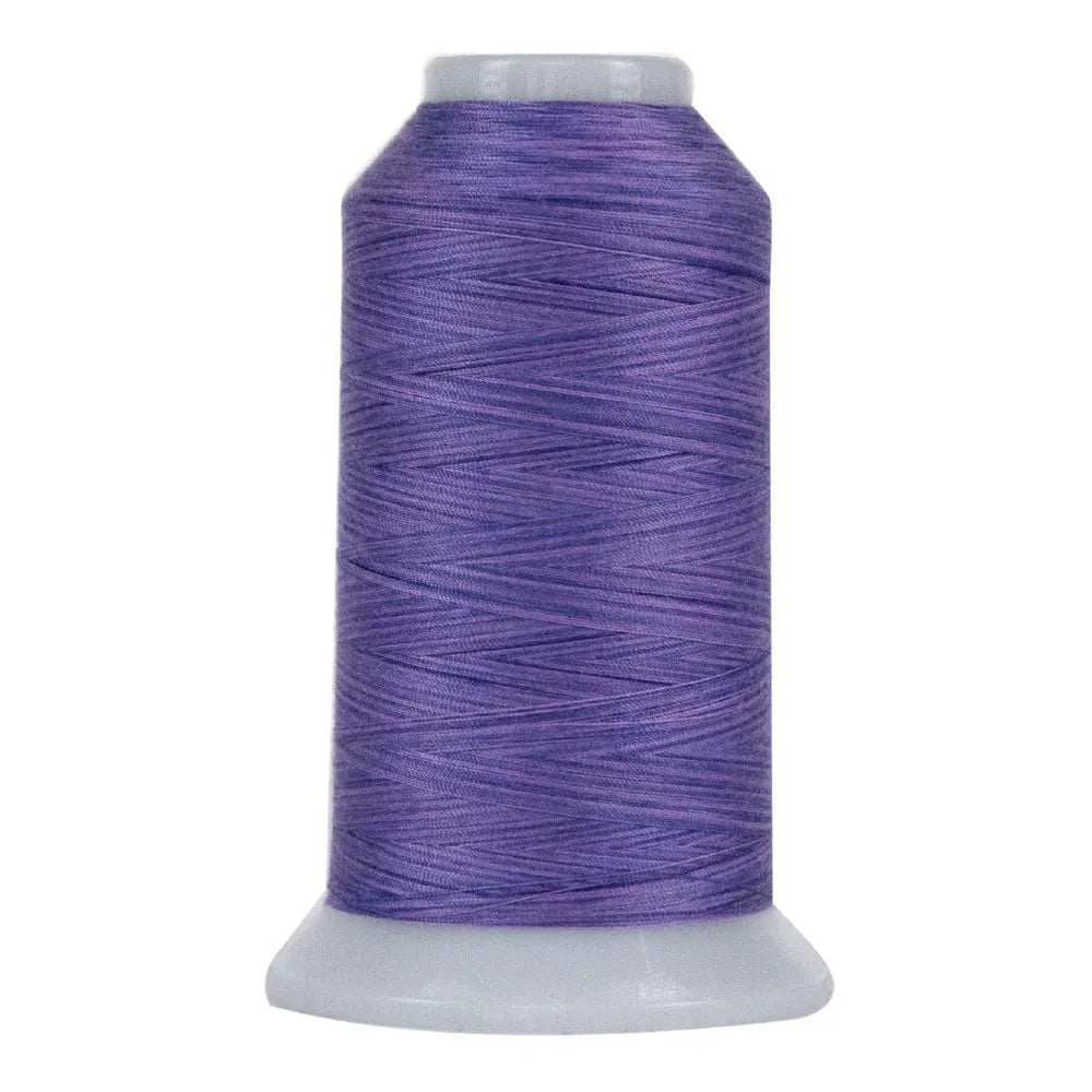 Variegated Polyester Thread Lydia Omni