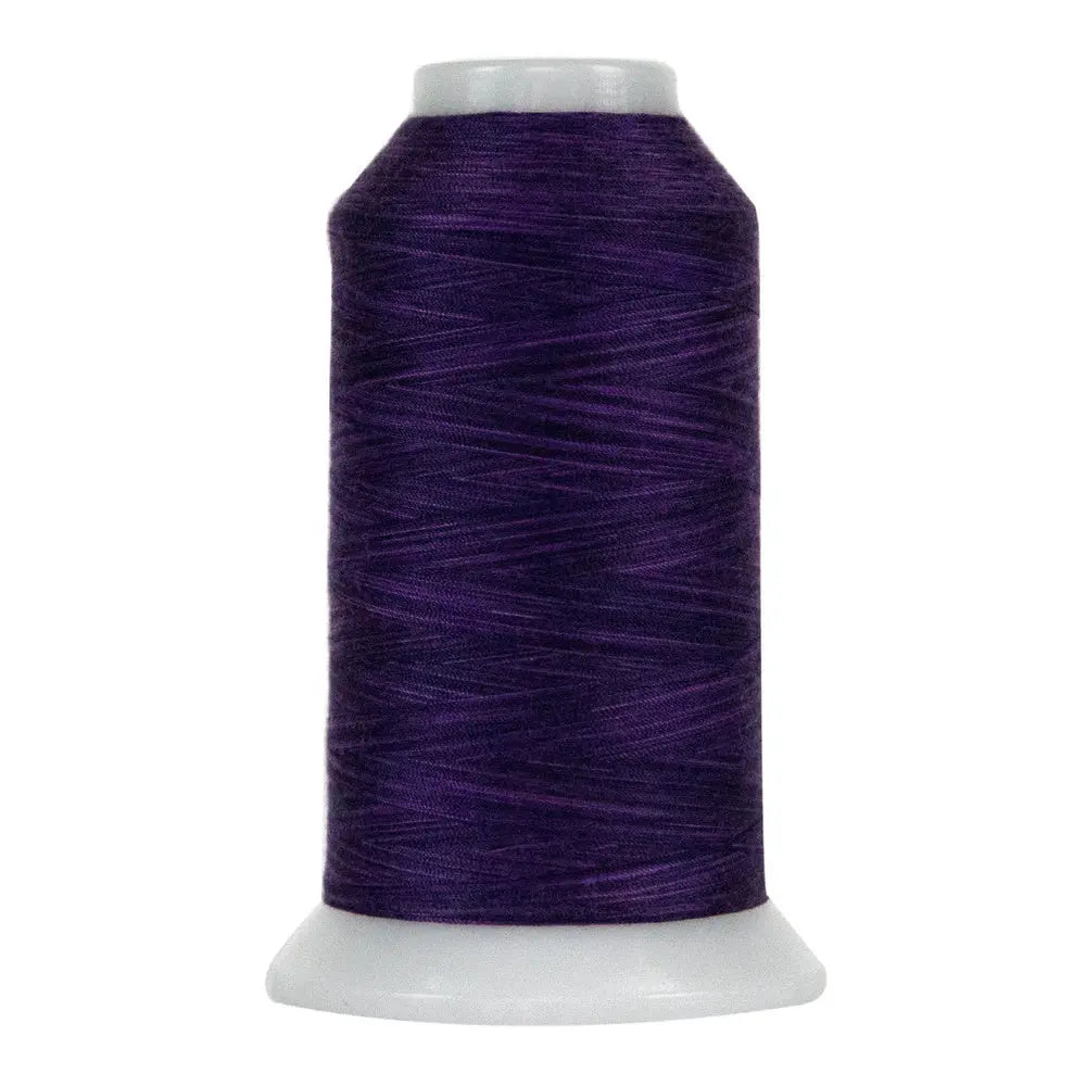 Polyester Quilting Thread Purple Majesty Variegated
