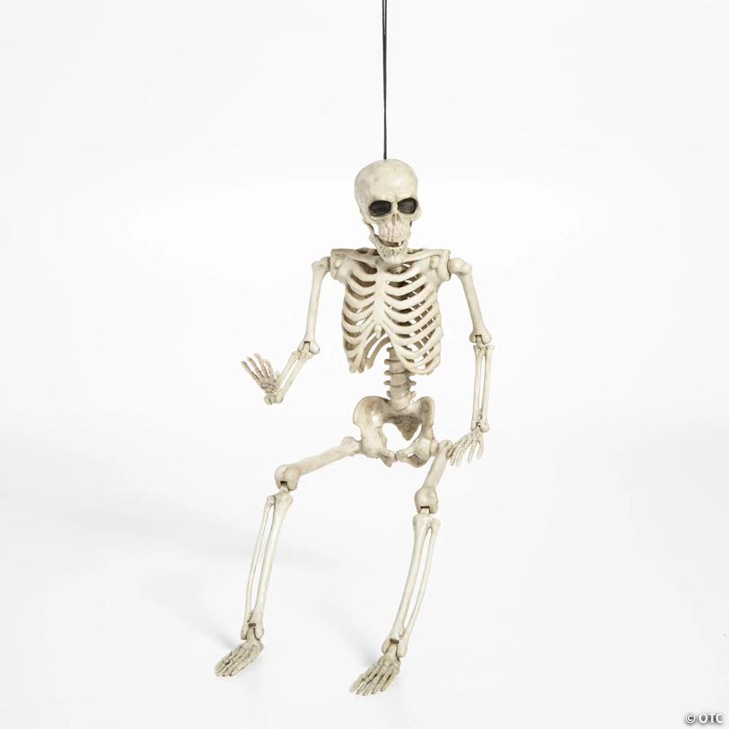 14" Posable Plastic Skeleton Halloween Decoration - 1 Pc.