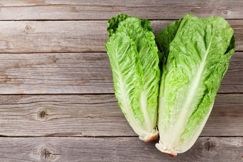 Romaine