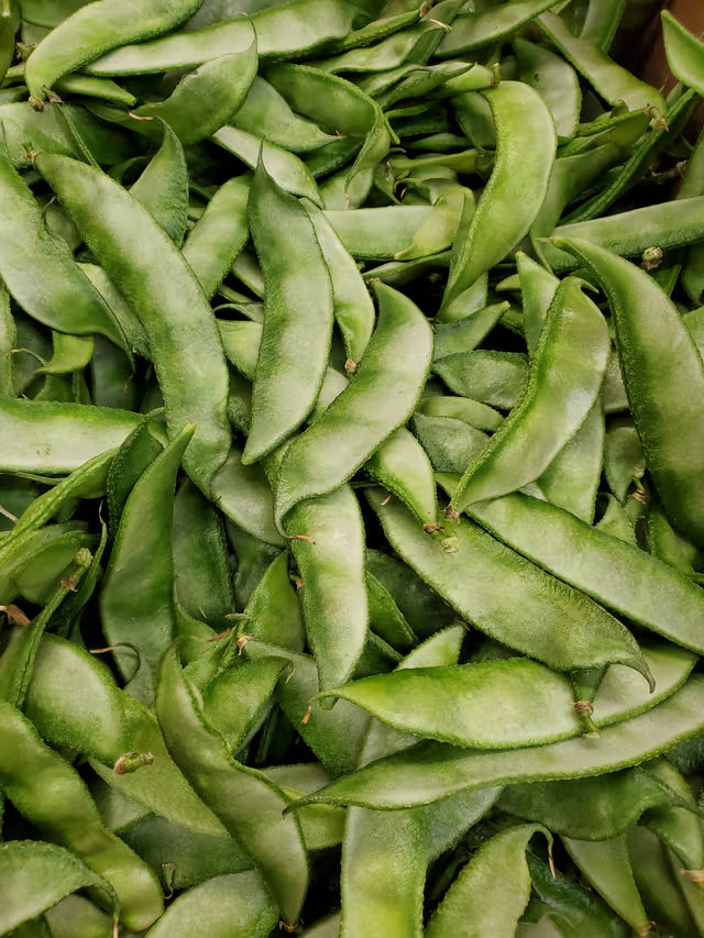 Seam Organic
