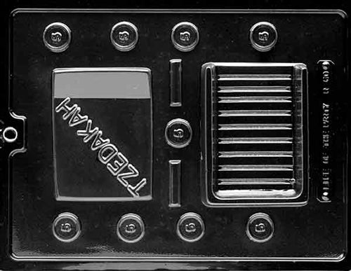 Tzedakah Pour Box Chocolate Mold - LPR060
