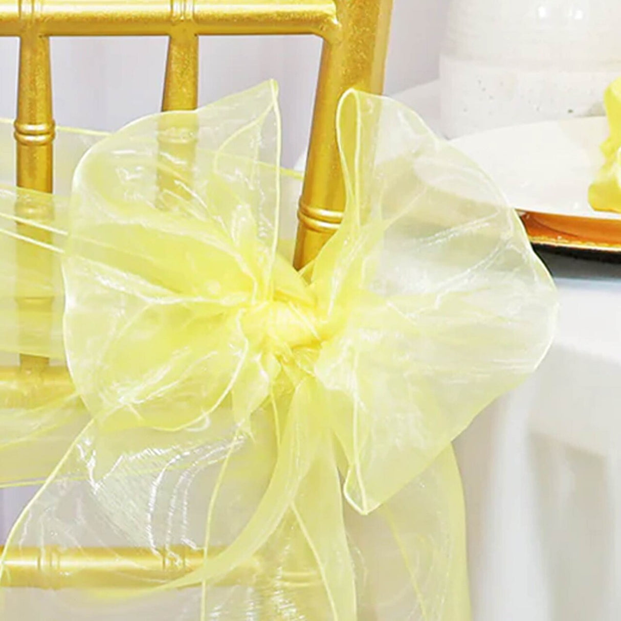 10 Pieces Baby Maize Organza Chair Sashes 8"x108" Sheer Elegant Chair Decor for Weddings & Events