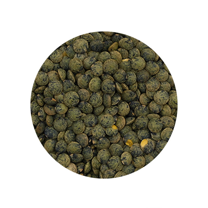 Bulk Foods - French Green Lentils - Bulk Bin 1467 (25 pounds)