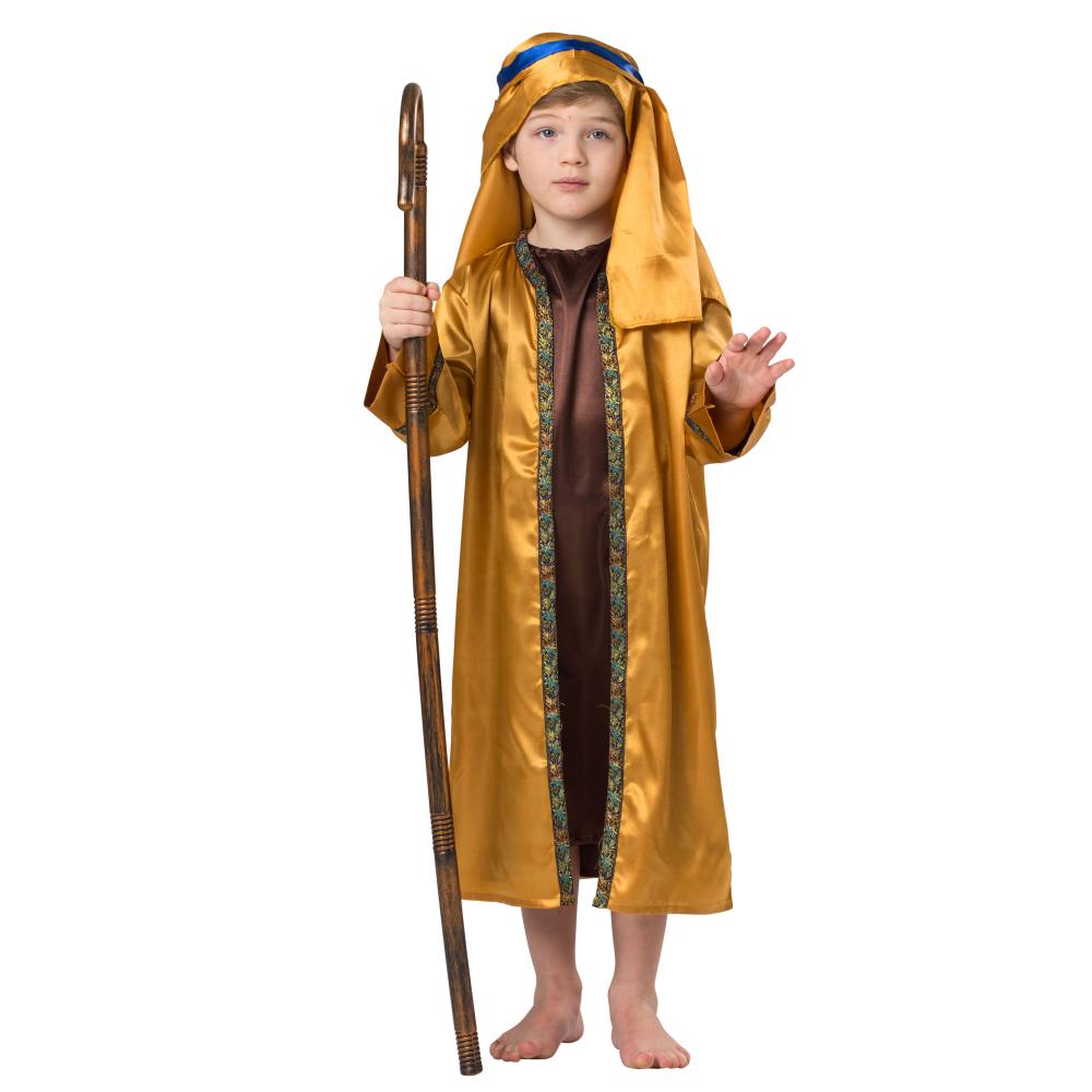 Shepherd's Crook Staff Costume Accessory