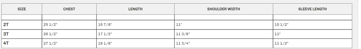 ছোট বাচ্চাদের ছোট হাতা পোলো শার্ট স্কুল ইউনিফর্ম | RADYAN®