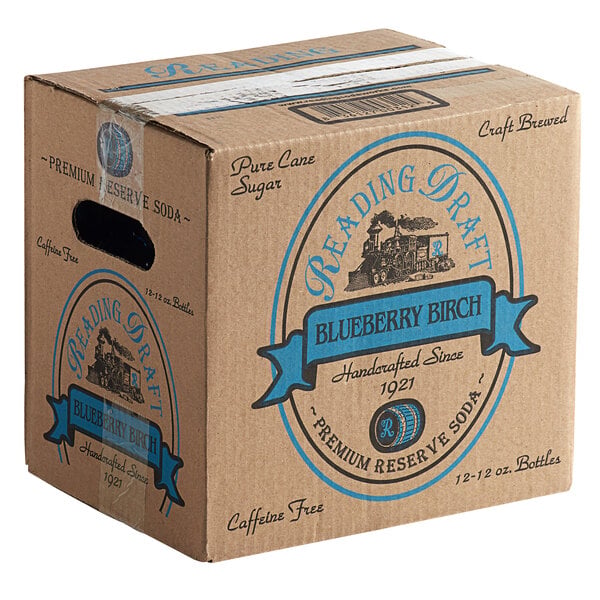 Reading Soda Works Blueberry Birch Beer 12 fl. oz. - 12/Case