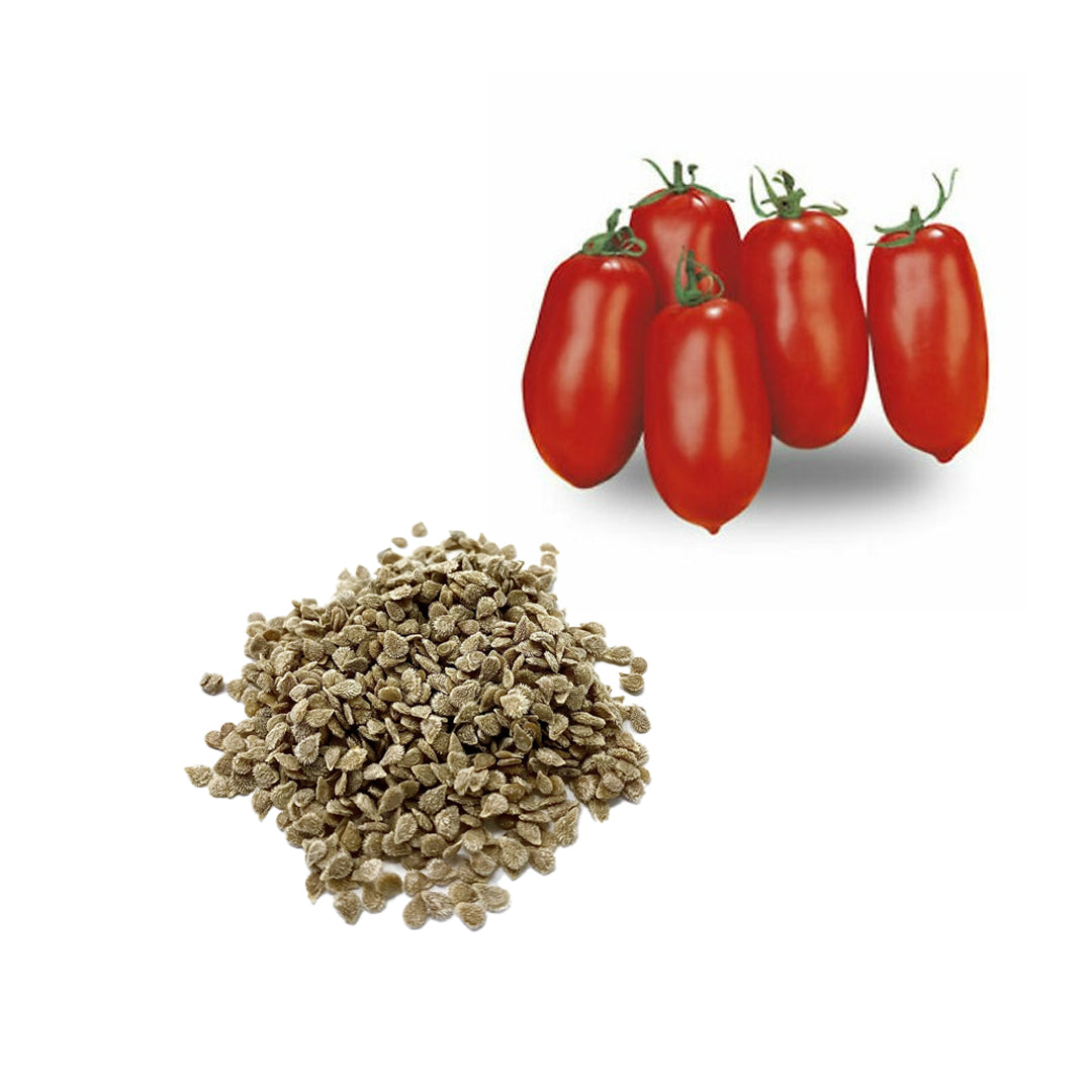 San Marzano Tomato Seeds 15 Count Italian Sauce Tomato Perfect for Canning and Garden Gifts