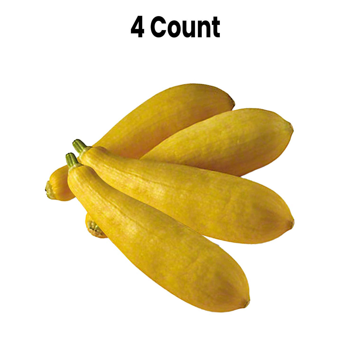 Radyan Fresh Yellow Squash