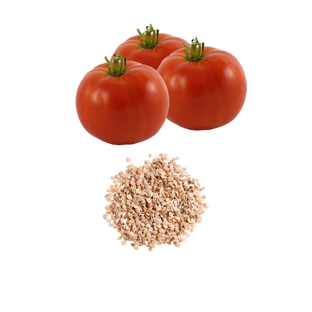 Hawaiian Kewalo Tomato Seeds 20 Count Root Knot Nematode Resistant Heat Tolerant