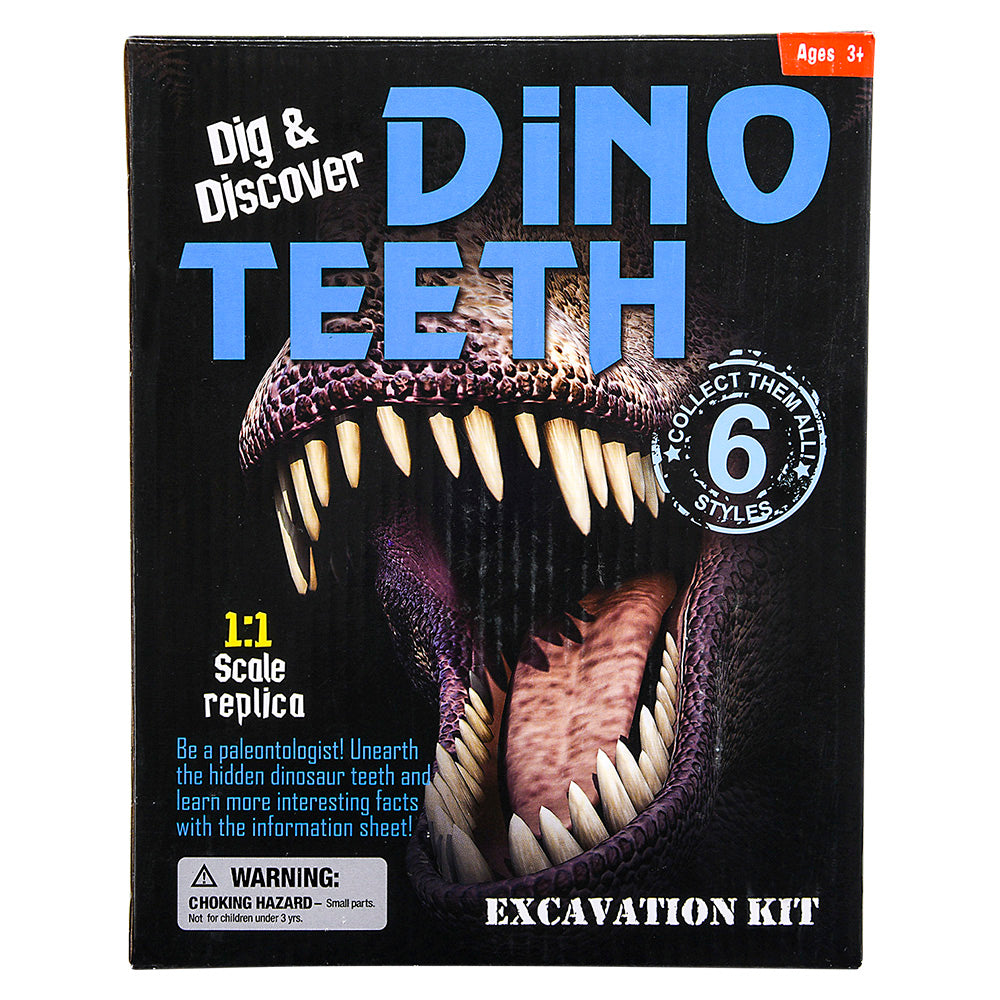 Dinosaur Teeth Excavation Kit