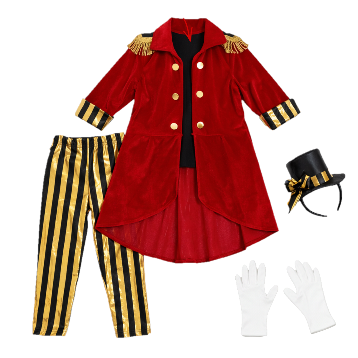 Ringmaster Girl Costume