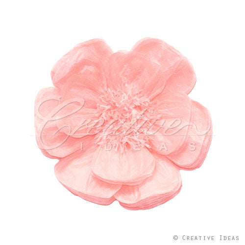20" Tissue Scallop Flowers-Pc (Blush)