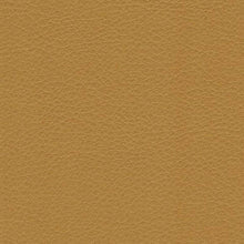 1 Yard Derrick 600-21524 High Performance PVC Upholstery Fabric