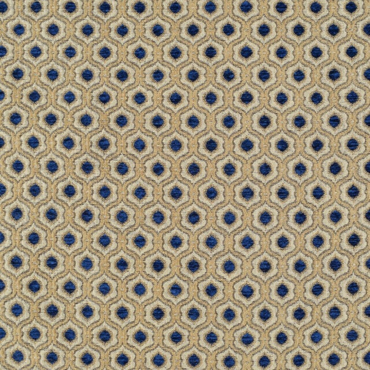 Saxon Fabric Elegant & Versatile