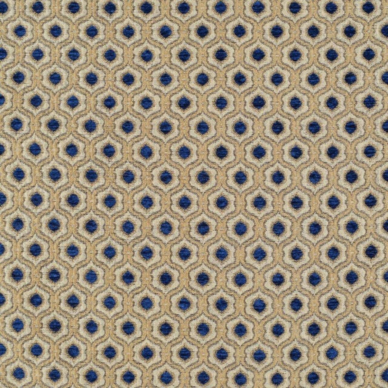 Saxon Fabric Elegant & Versatile