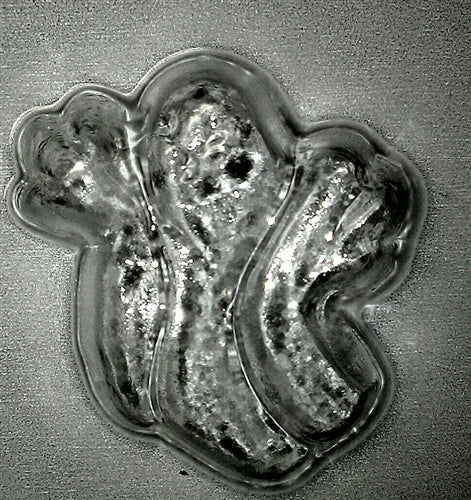 Variety Ghost Chocolate Mold