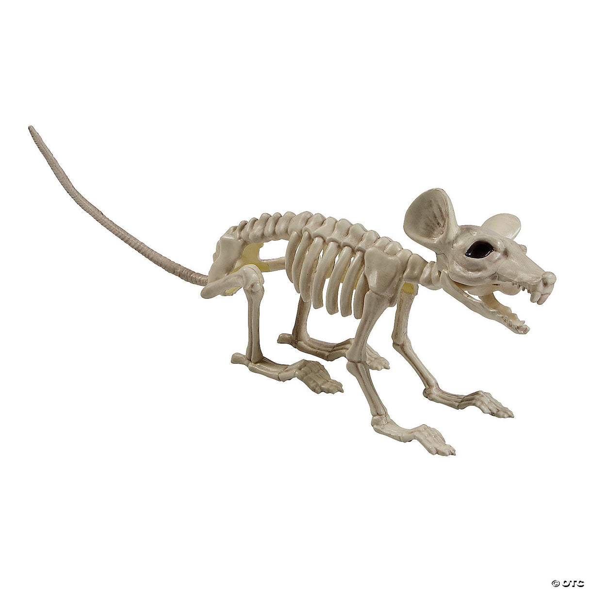 24" x 7" Rat Skeleton Plastic Halloween Tabletop Decoration