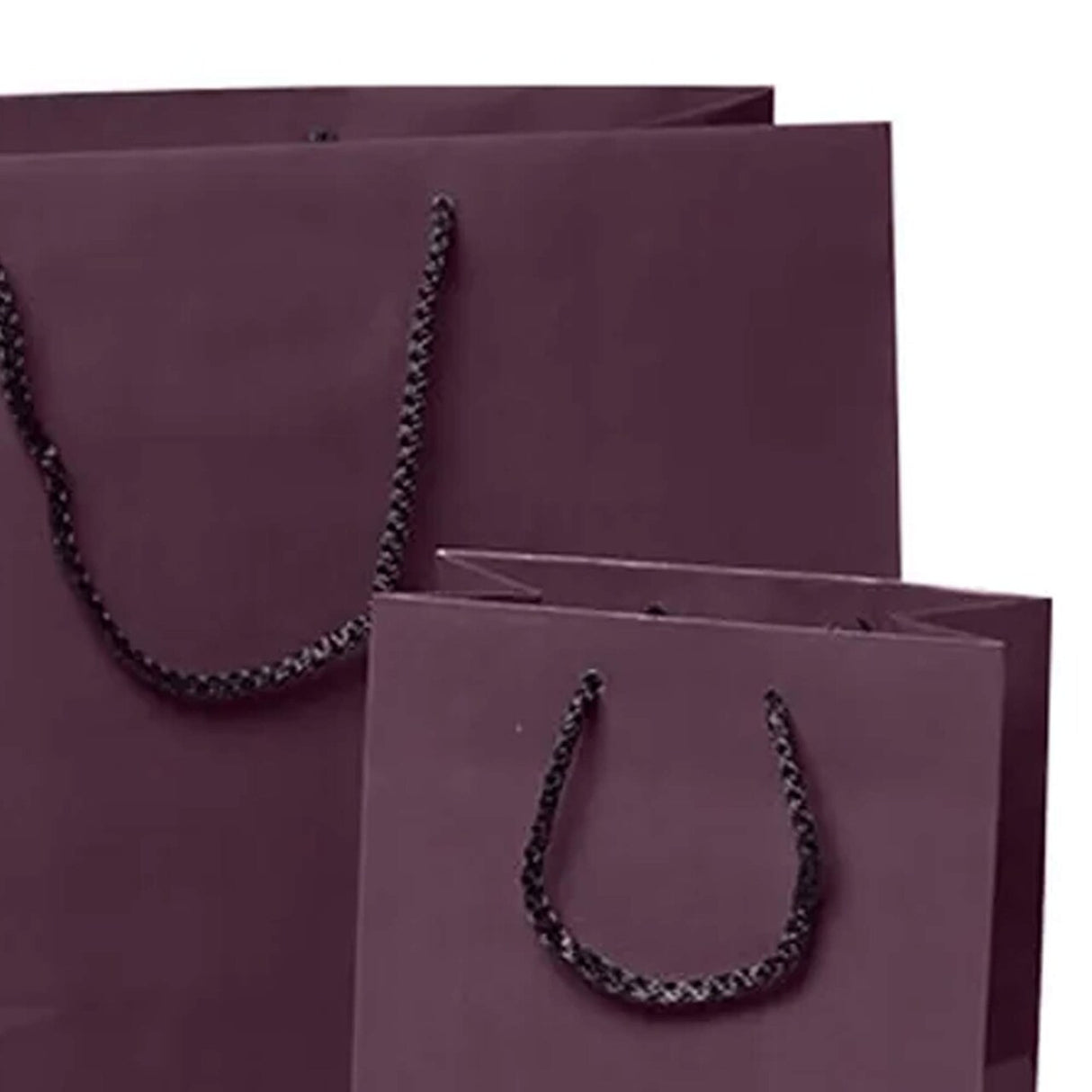 Sleek and Compact Glossy Euro Totes 4 3/4'' x 2 3/4'' x 6 3/4''