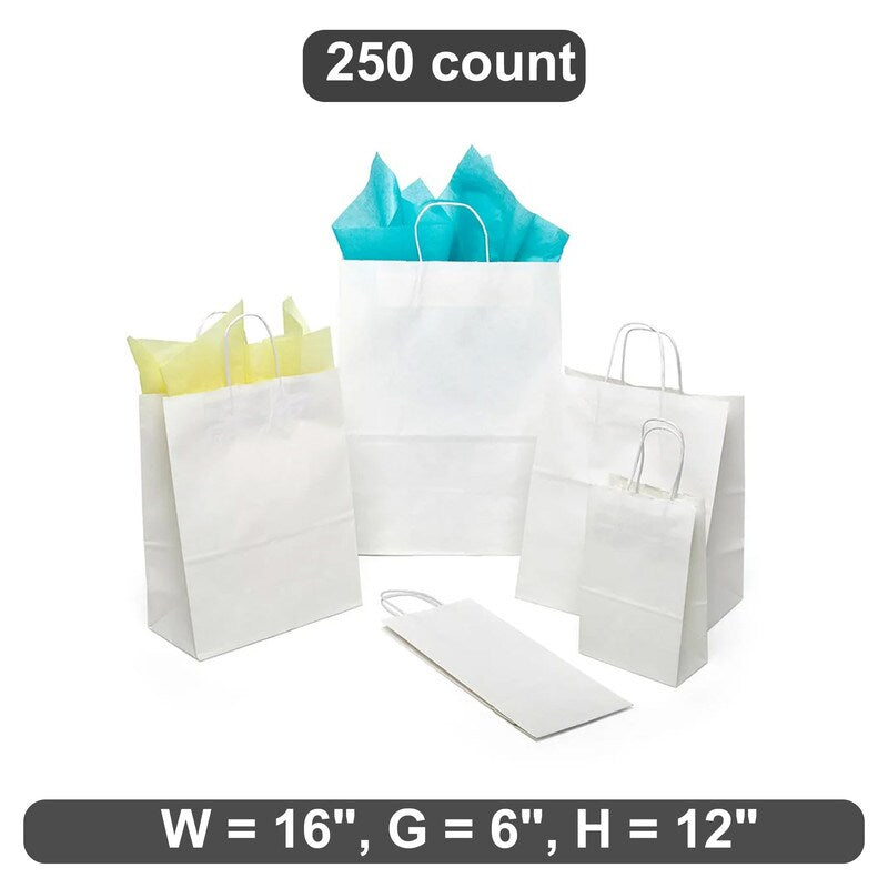 Large Plain White Kraft Shopping Bag 16" x 6" x 12"