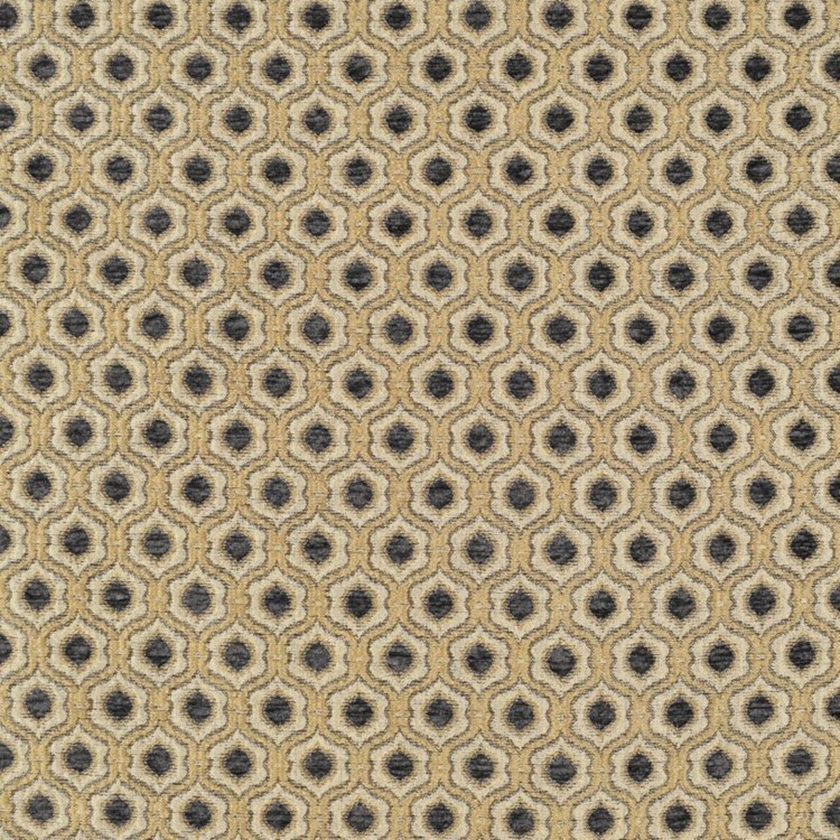 Saxon Fabric Elegant & Versatile