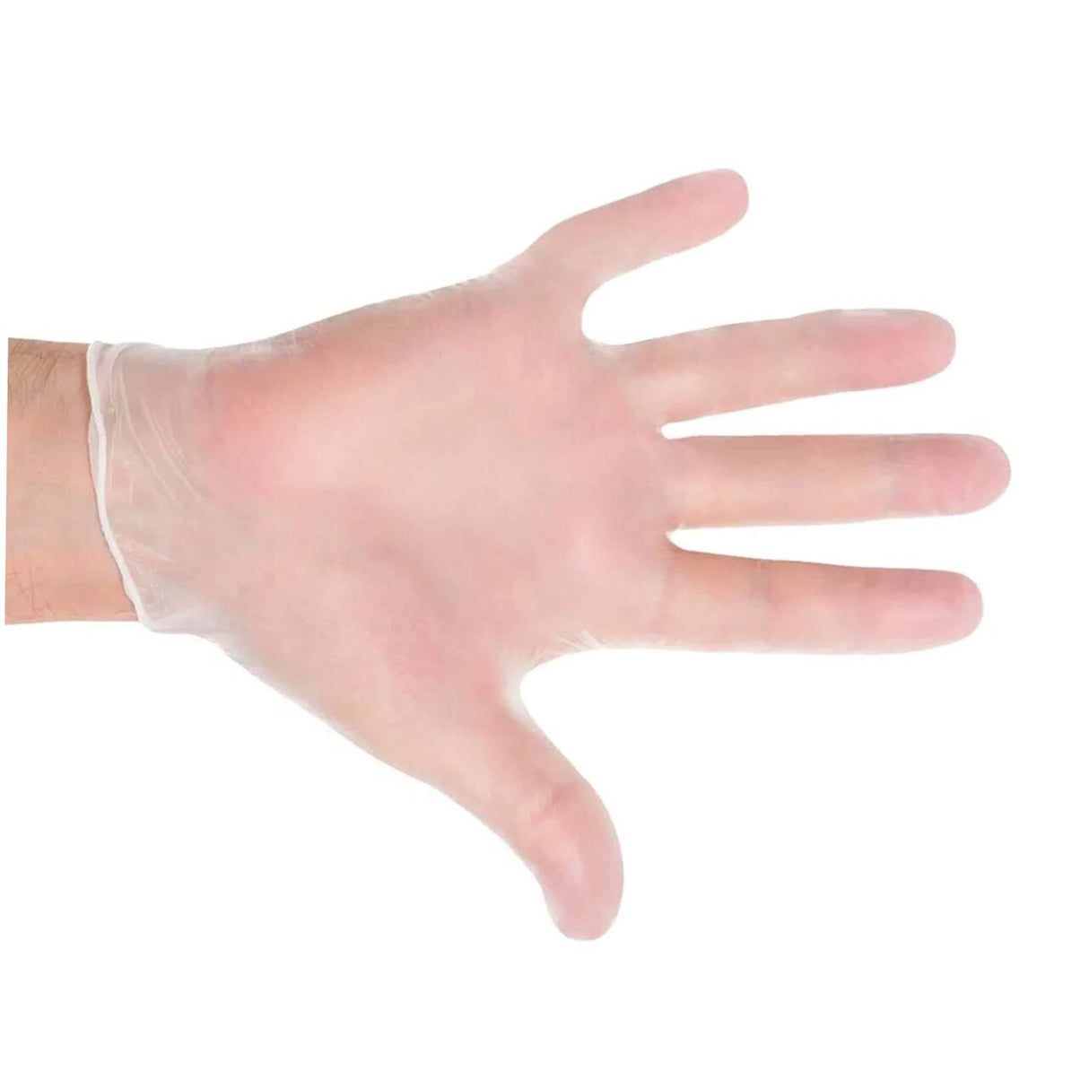 General Purpose Vinyl Gloves Powdered Clear Extra-Large