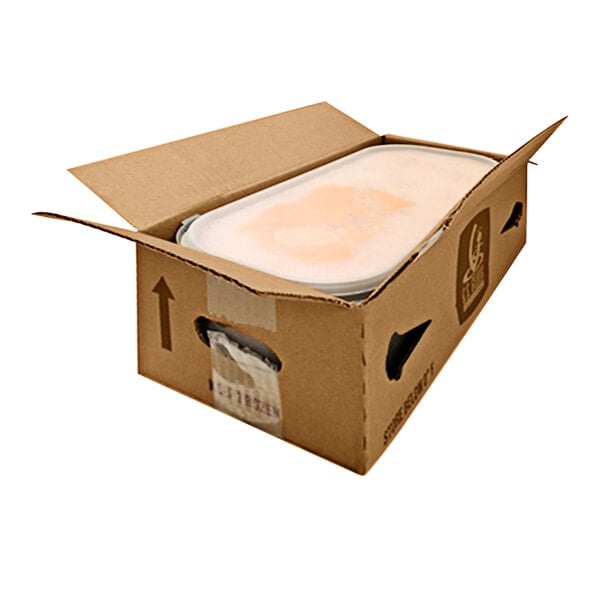 G.S. Gelato Blood Orange Sorbet 5 Liter Container