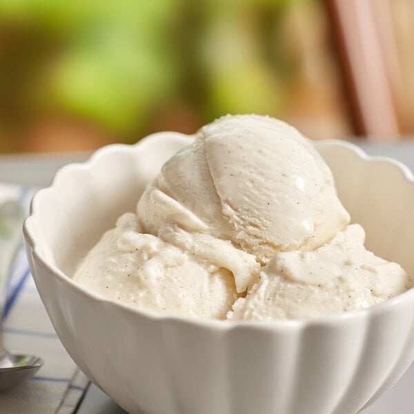 Villa Dolce Madagascar Vanilla Bean Gelato 5 Liter Container