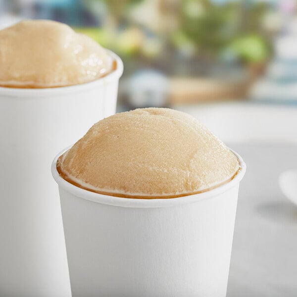 Philadelphia Water Ice Cappuccino Italian Ice Base 1 Gallon - 4/Case