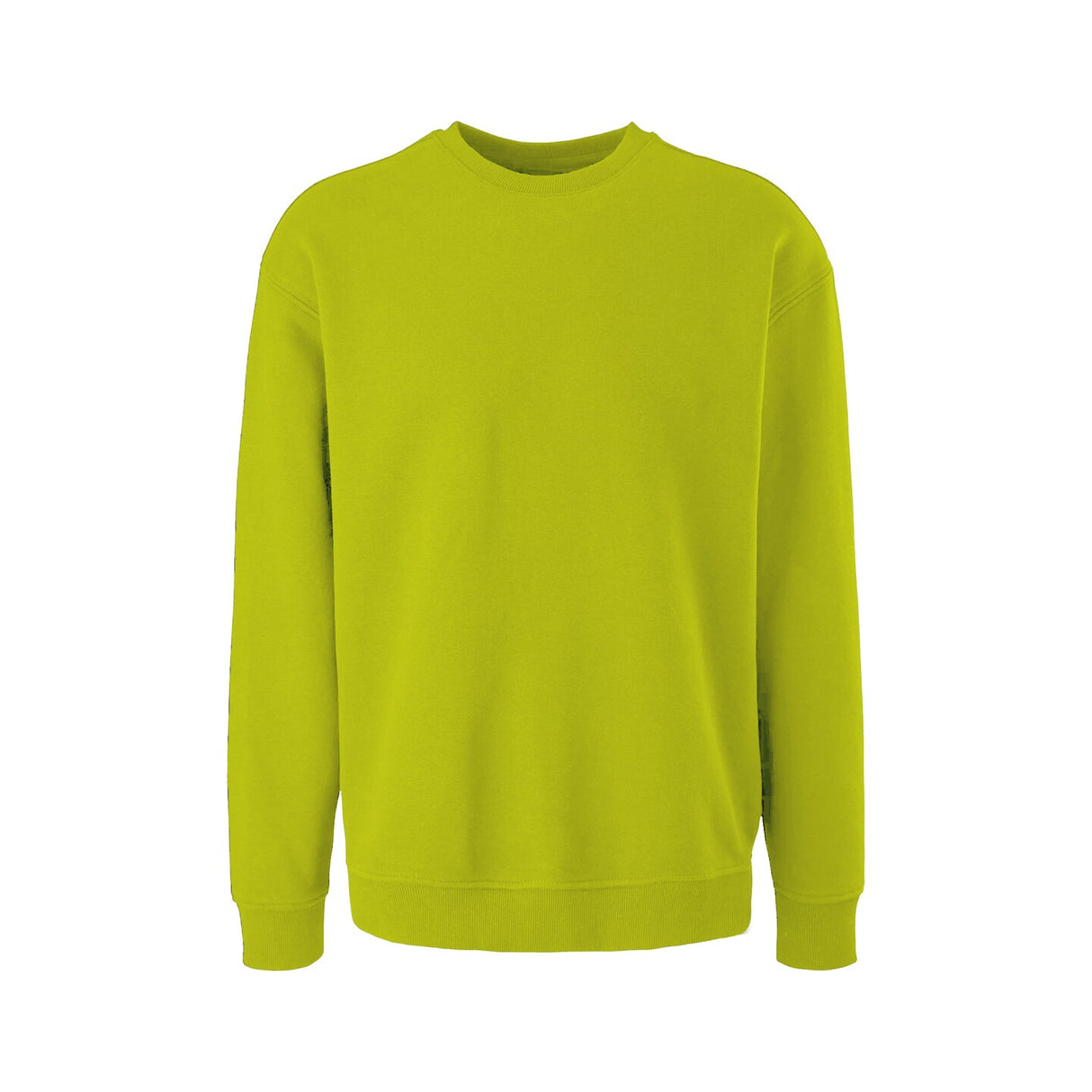 Heavy Blend Crewneck Long Sleeve Sweatshirt | RADYAN®