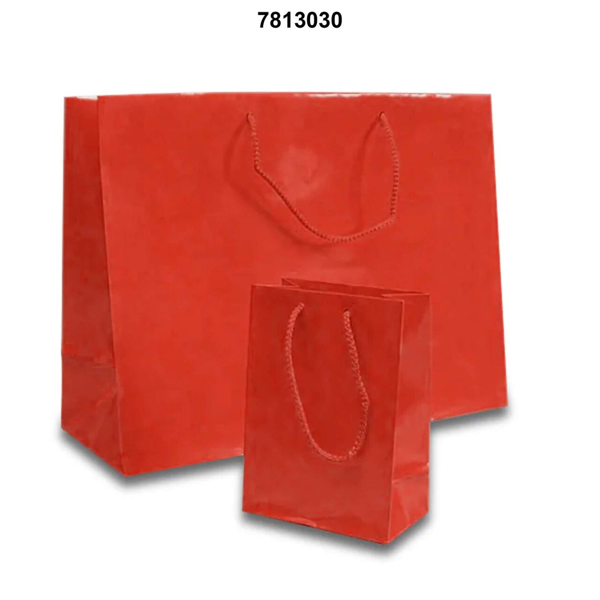 Elegant Glossy Totes for Events 6 1/4'' x 3 1/2'' x 8 1/2'' Size