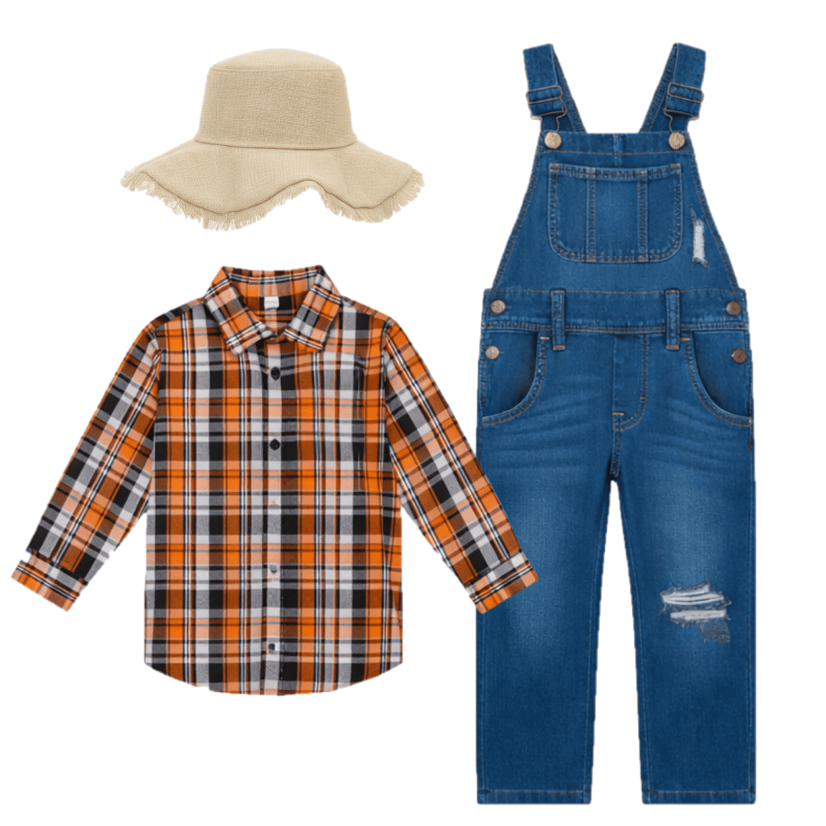 Country Farmer Costume