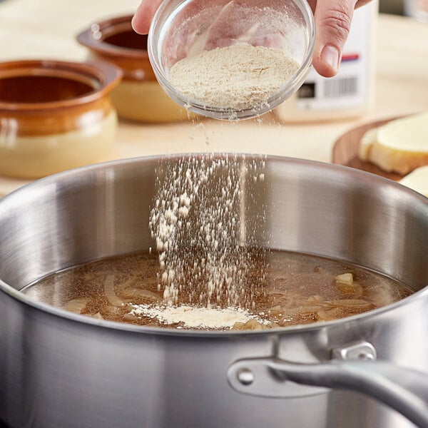 McCormick Culinary Onion Powder 20 oz.