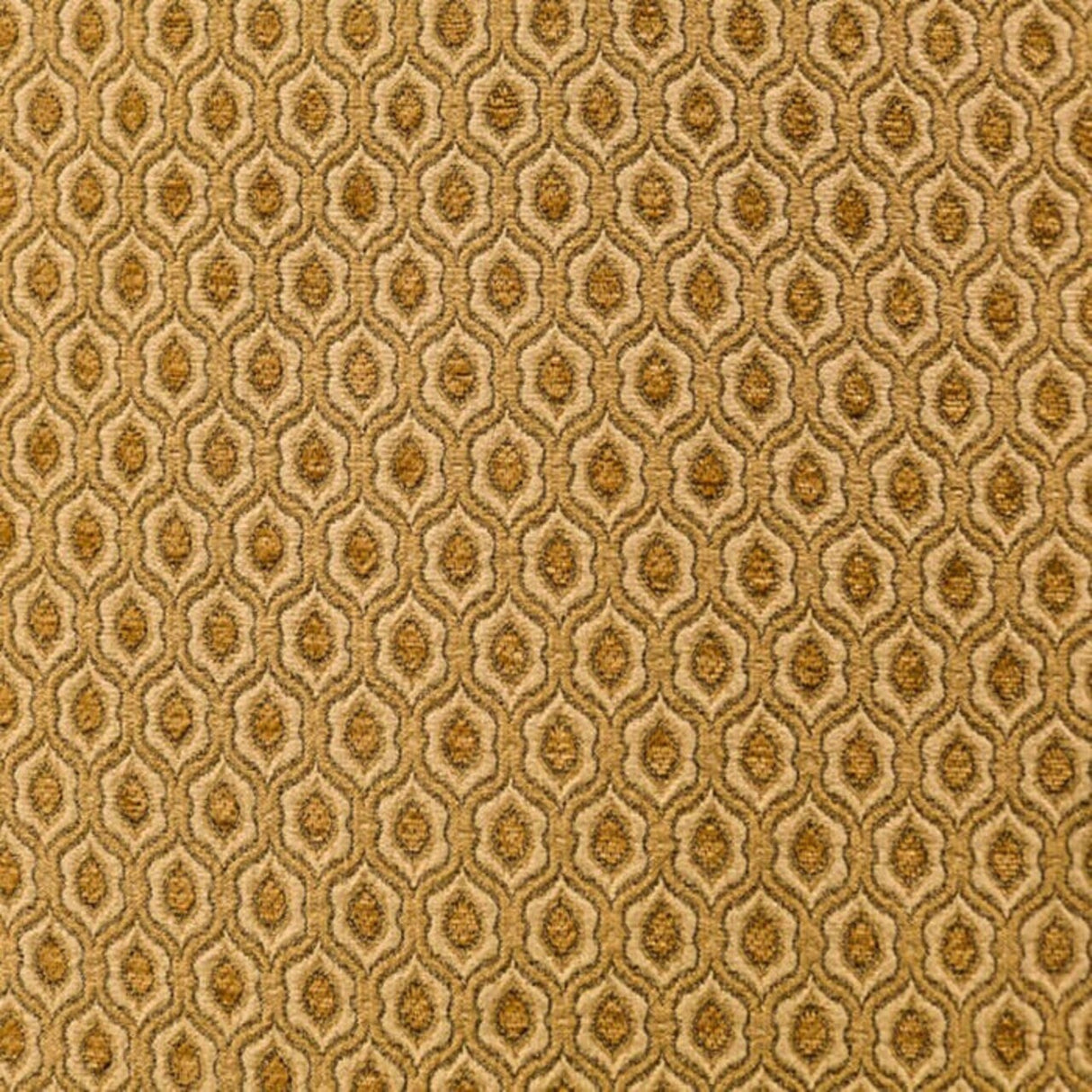 Saxon Fabric Elegant & Versatile
