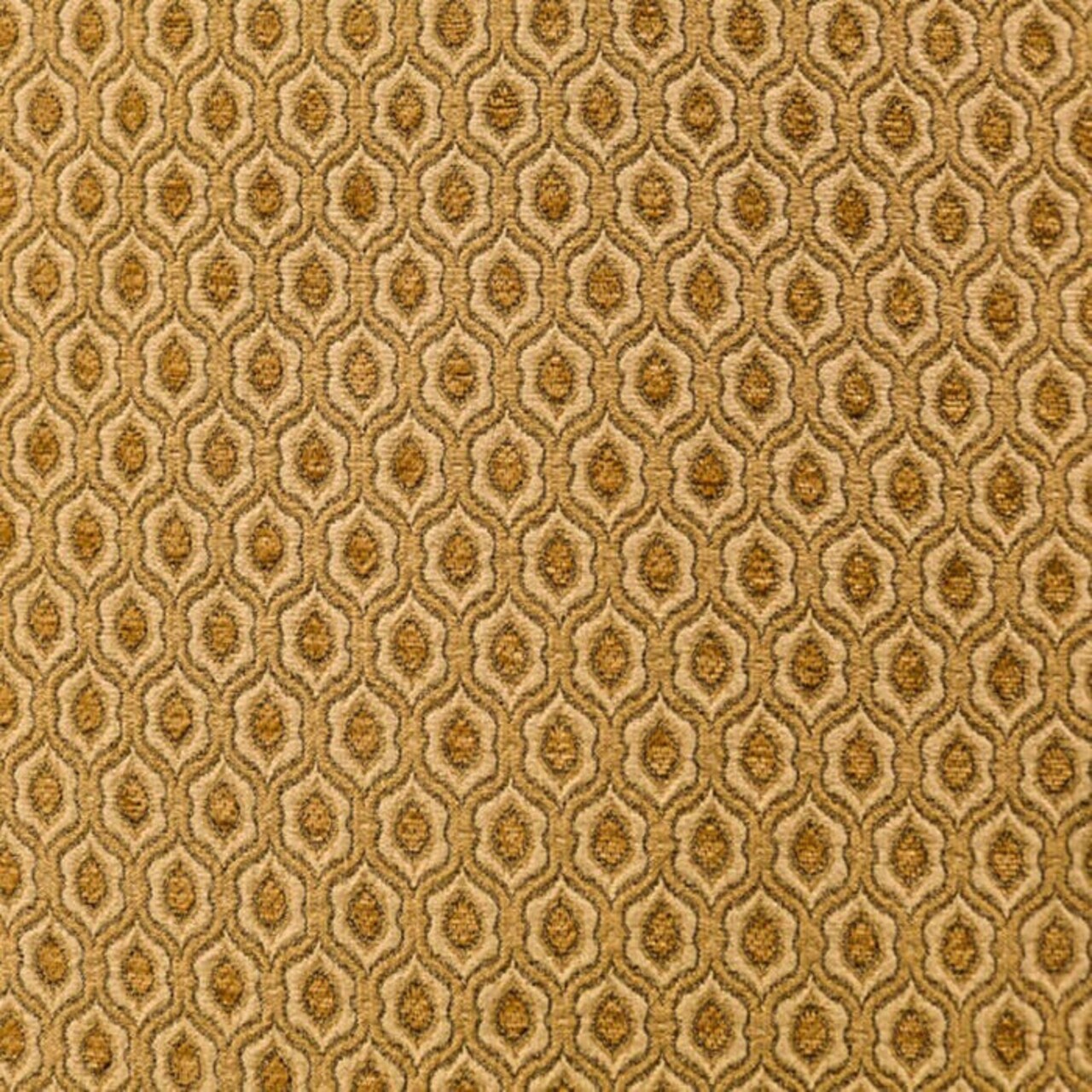 Saxon Fabric Elegant & Versatile