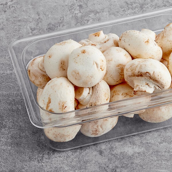 Silver Dollar Mushrooms 10 lb.