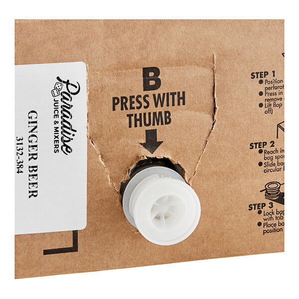 Paradise Ginger Beer Syrup Bag in Box 3 Gallon