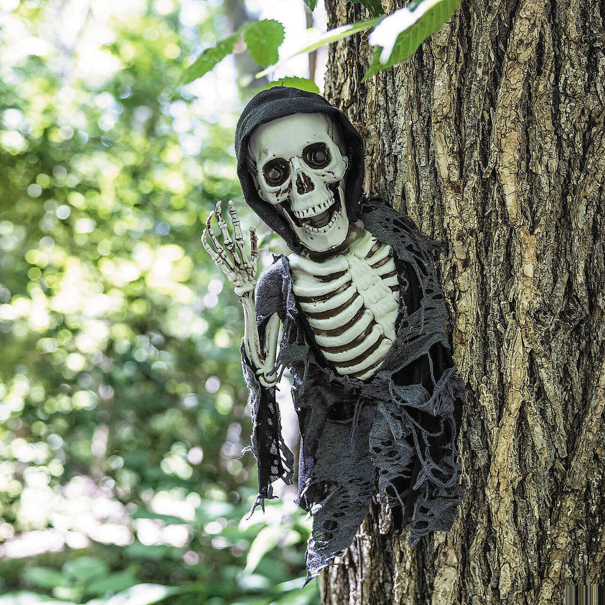 15 3/4" Hanging Waving Skeleton Reaper Creeper Halloween Decoration