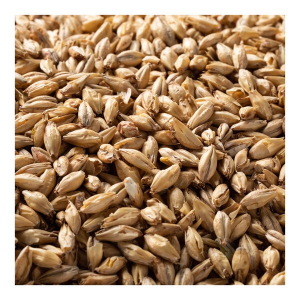 Briess Goldpils Vienna Malt 50 lb.