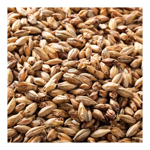 Briess Bonlander Munich Malt 10L 50 lb.