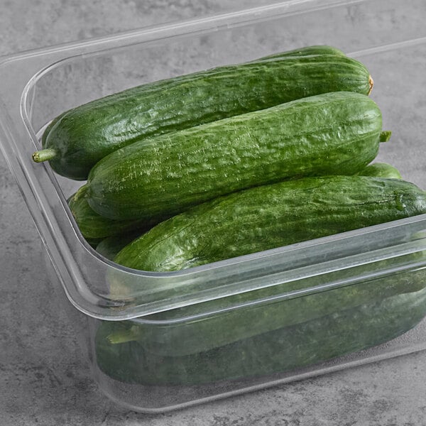 Fresh Persian Cucumber 20 lb.