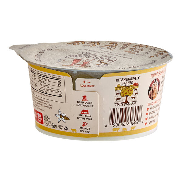 Painterland Sisters Vanilla Bean Organic Skyr Yogurt Cup 5.3 oz. - 8/Pack
