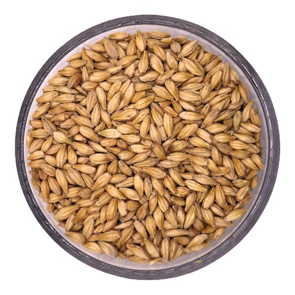 Two Track Malting Okefenokee Pale Malt 50 lb.