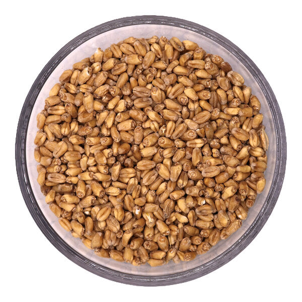 Two Track Malting Astro White Wheat Malt 50 lb.