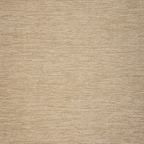 Trend Luxurious Textured Chenille